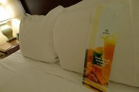  Room, Hilton New Orleans Airport