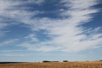  Cerro, NM