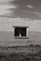  Cerro, NM