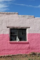  Cerro, NM