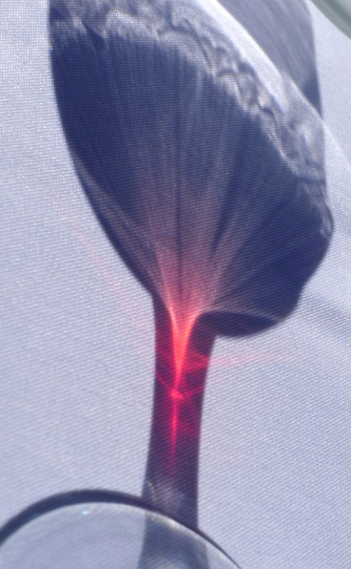 P1020677