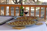  Reception hors d'oeuvres and cabernet sauvignon