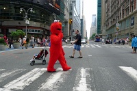  Elmo crosses Broadway in Uptown Manhattan