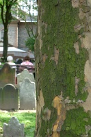  Trinity Church