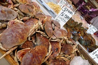  Fresh seafood, Chinatown