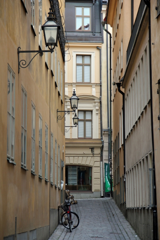 IMG_6698