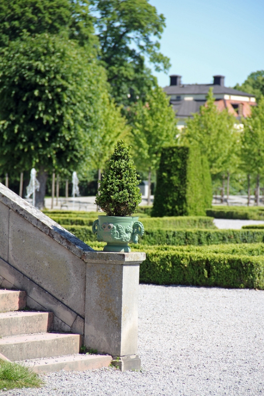 IMG_8895