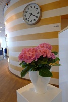  SAS Business Class Lounge, Arlanda Airport