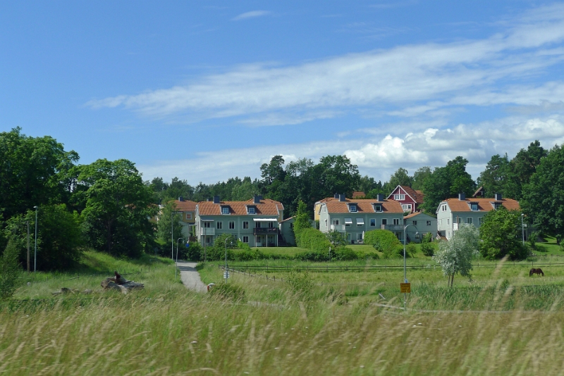 P1050994
