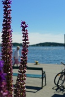  Vaxholm