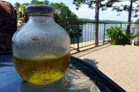  Martinelli's apple cider