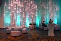  Cadillac Premium Lounge