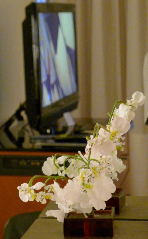P1040827