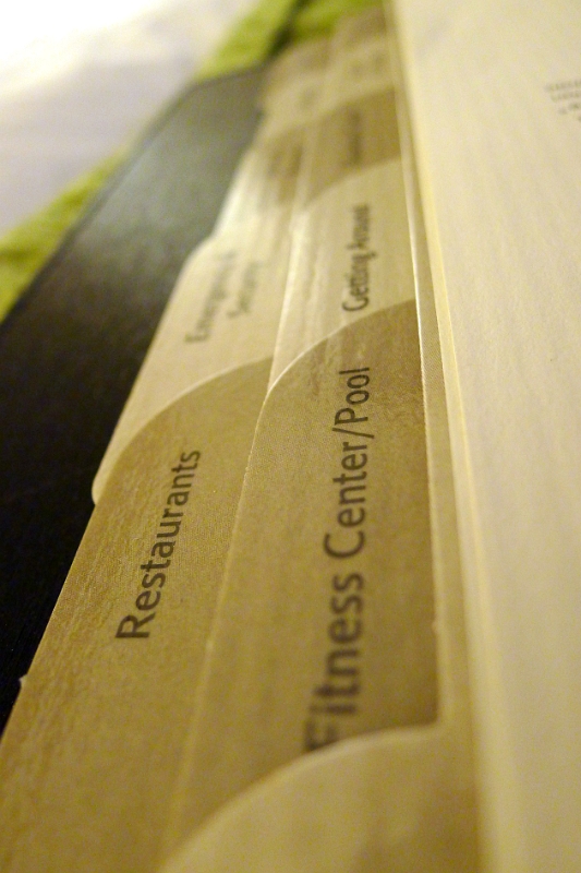 P1040842