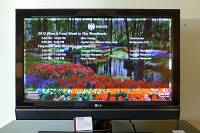  LG Flat Panel TV