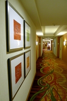  9th Floor Hallway