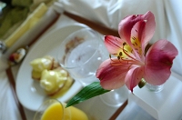  Room Service Setting