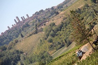  San Gimignano rises in the background