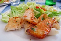  Baked fish in white and herb sauce