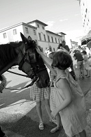 Accarezzare un cavallo, Pisa