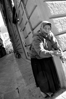  Firenze