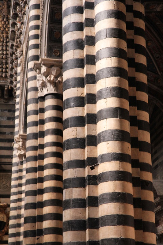IMG_3462