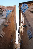  Onda, winners of the 2/7/2012 Palio