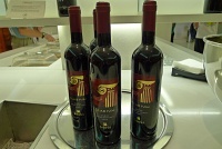  Alitalia Lounge, Rome