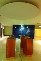  Alitalia Lounge, Rome