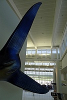  Terminal E, IAH