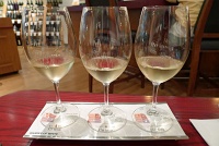  Shades of White wine flight at Vino Volo, Seattle Airport: Verdejo Bodega Gotica (Spain, Monsalve, 2010), Chardonnay Dierberg Vineyards (California, Three Saints, 2008), Gewurtztraminer Vina Carmen (Chile, Curico Valley, 2007)