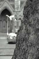  Westminster Abbey