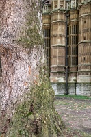  Westminster Abbey