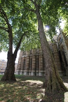  Westminster Abbey