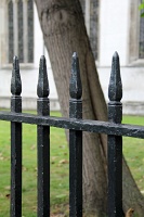  Westminster Abbey