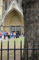  Westminster Abbey