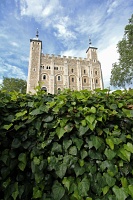  Tower of London