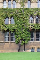  Christ Church College