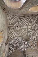  Christ Church College