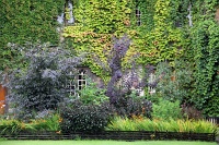  Balliol College