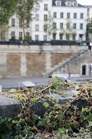  Notre Dame Cathedral