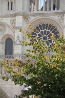  Notre Dame Cathedral