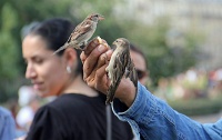  Bird Whisperers, Notre Dame Cathedral