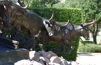  Reliant Stadium Plaza