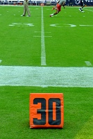  30 yard line