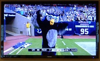  Sammy (or Samantha?) the Owl
