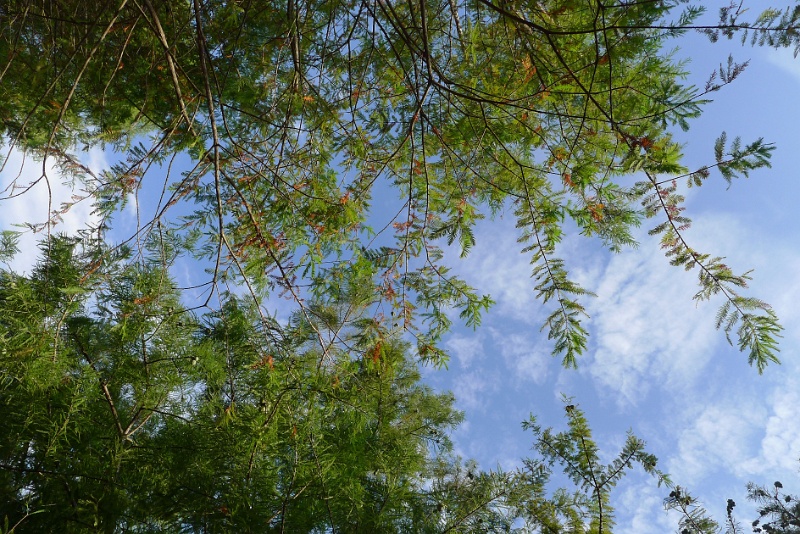 P1080495
