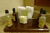  Marriott Woodlands Waterway