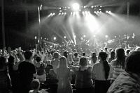  The Fray