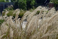  Woodlands Waterway